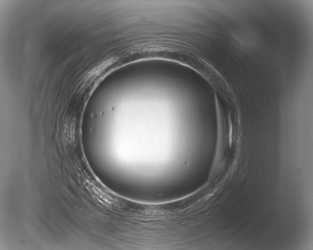 X0000086310777200703301150