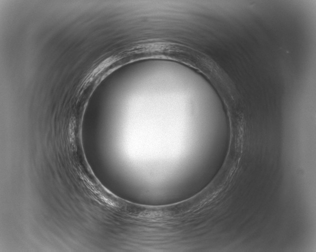 X0000086310778200703301150