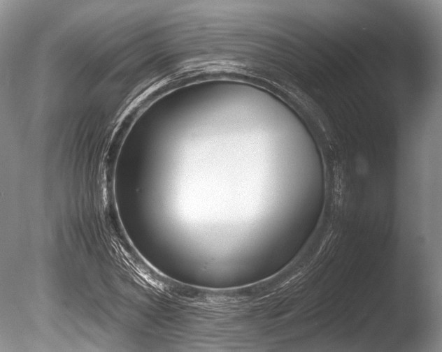 X0000086310782200703301149