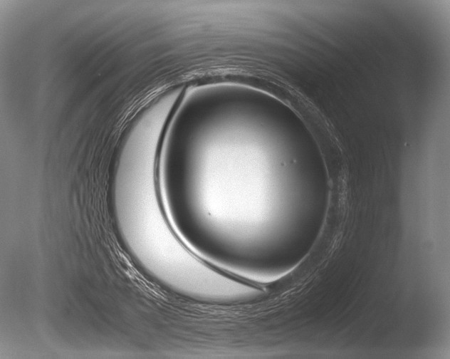 X0000086310785200703301149