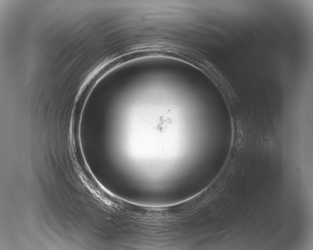 X0000086310788200703301149