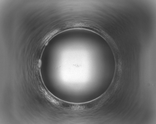 X0000086310793200703301149