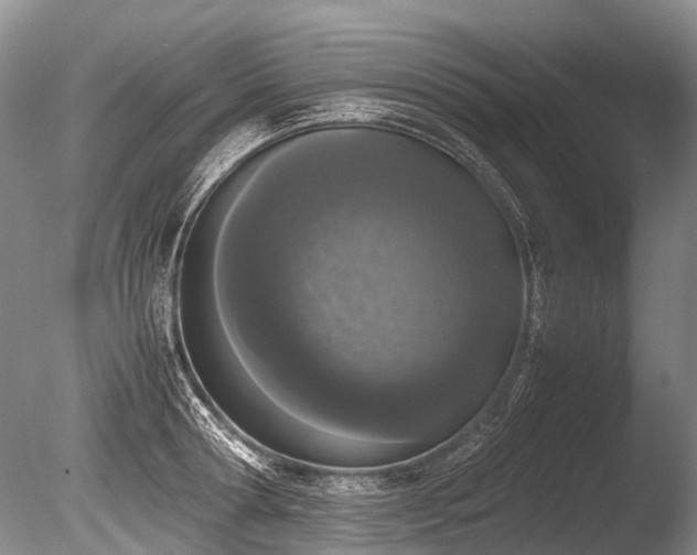 X0000086310802200703301149