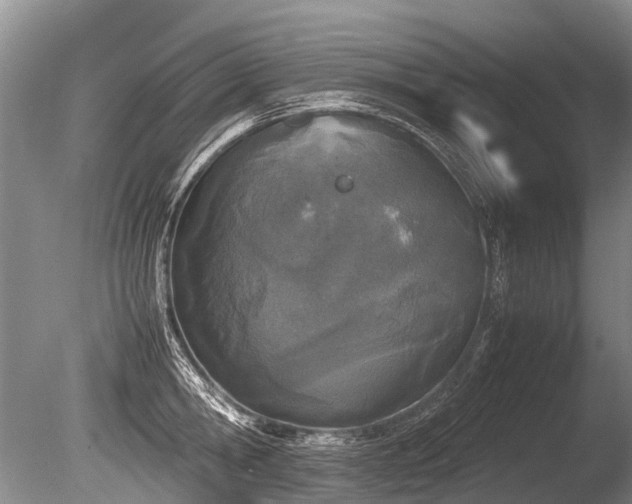 X0000086310806200703301149