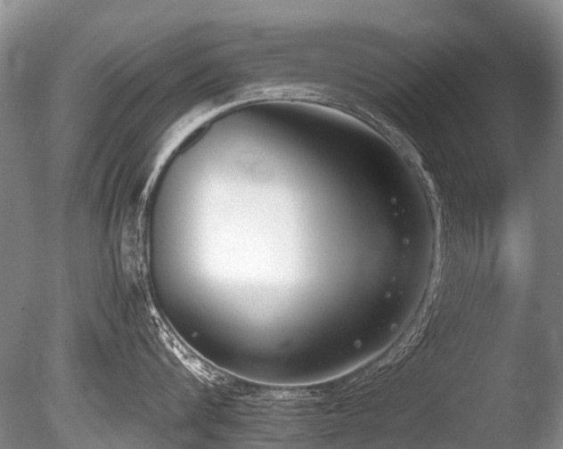 X0000086310816200703301149