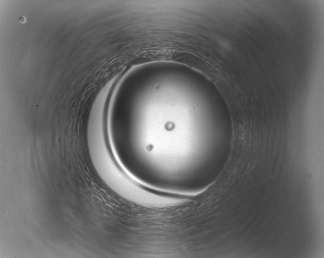 X0000086310818200703301148