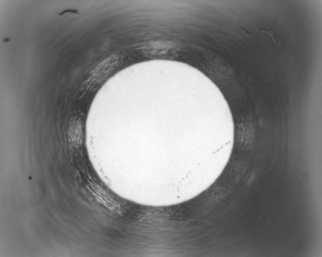 X0000086310820200703301148