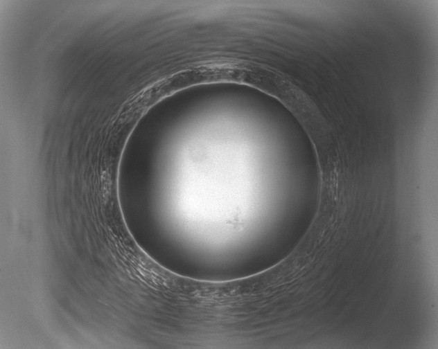 X0000086310821200703301148