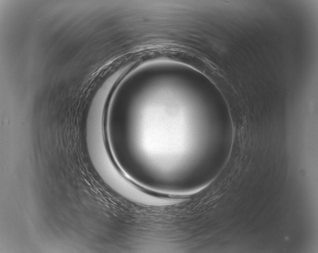 X0000086310822200703301148