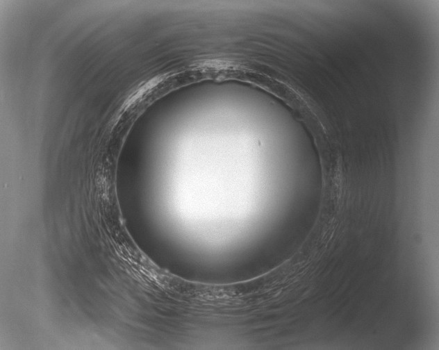 X0000086310823200703301148