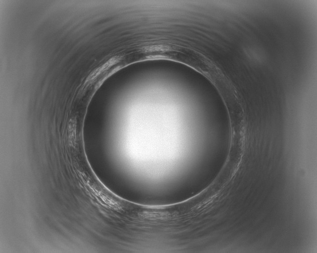 X0000086310825200703301148