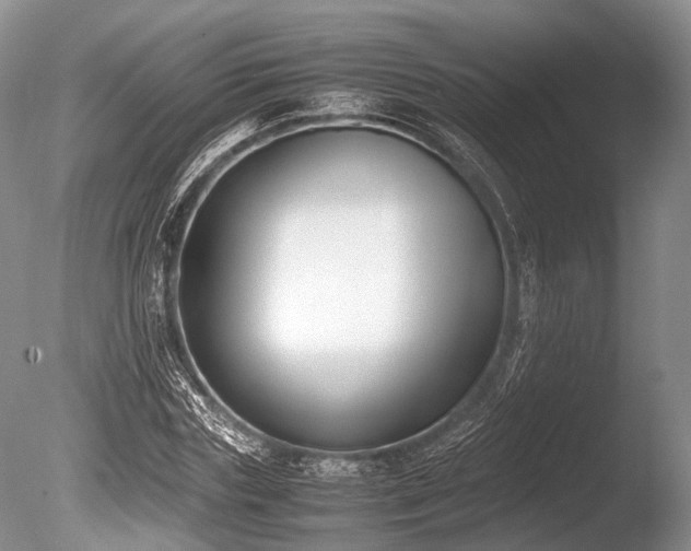 X0000086310827200703301148
