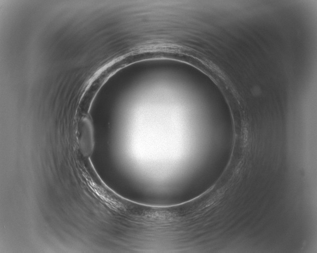 X0000086310830200703301148