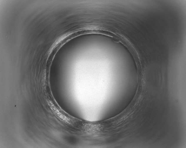 X0000086310831200703301148