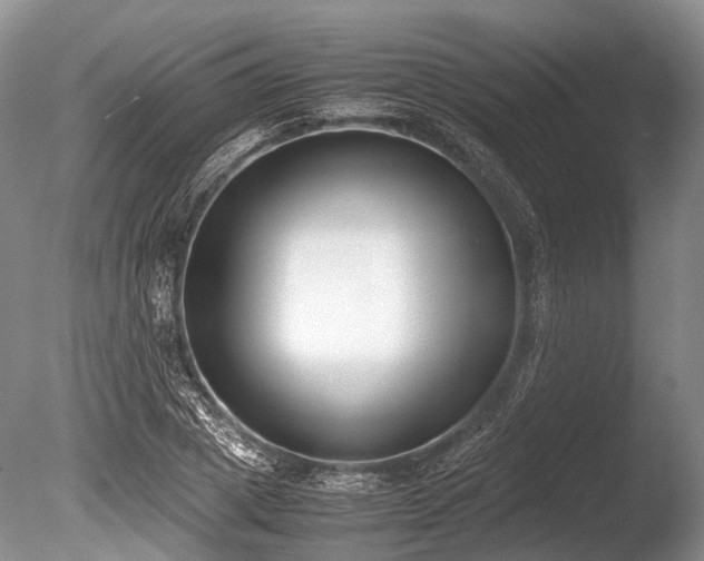 X0000086310833200703301148