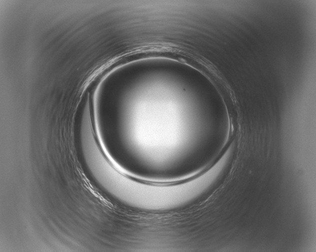 X0000086310834200703301148