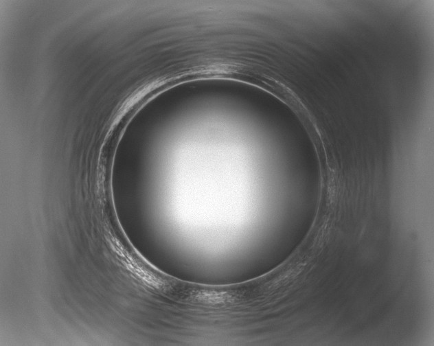 X0000086310835200703301148