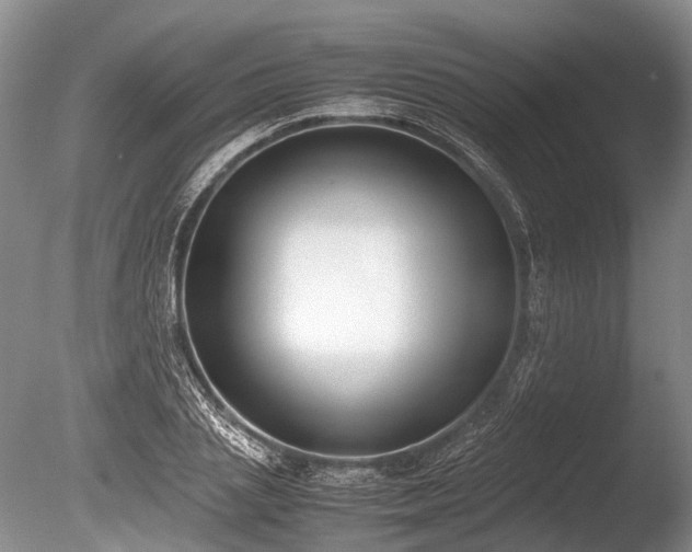 X0000086310837200703301148
