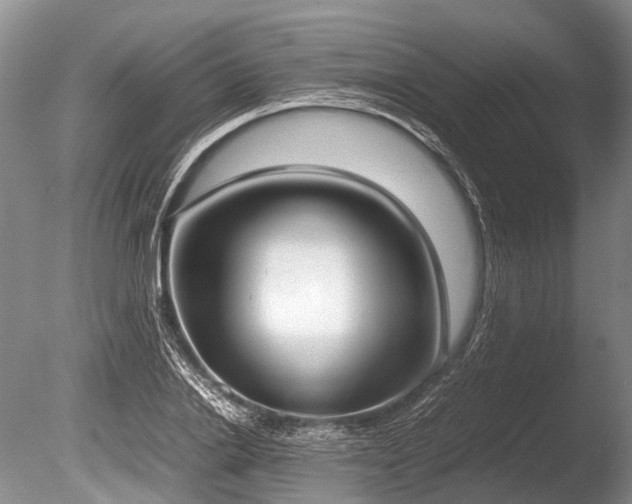 X0000086310838200703301148