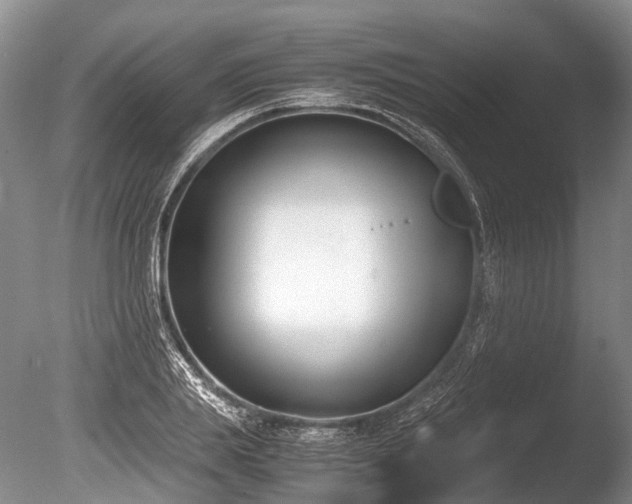 X0000086310839200703301148