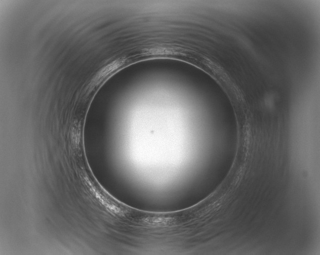 X0000086310841200703301148