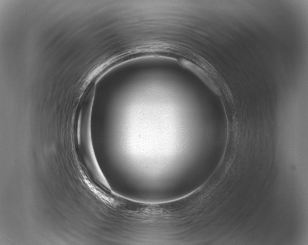 X0000086310842200703301148