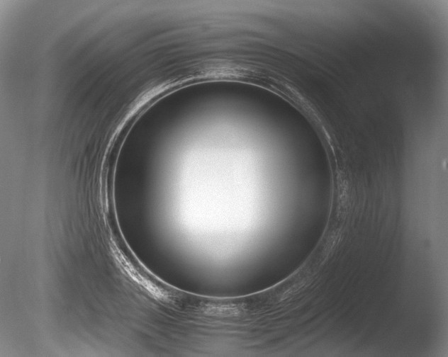 X0000086310843200703301149