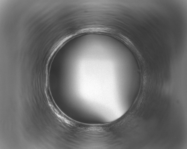 X0000086310844200703301149