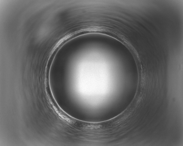 X0000086310845200703301149