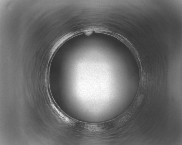 X0000086310855200703301149