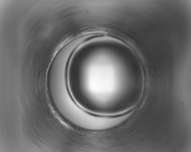 X0000086310858200703301149