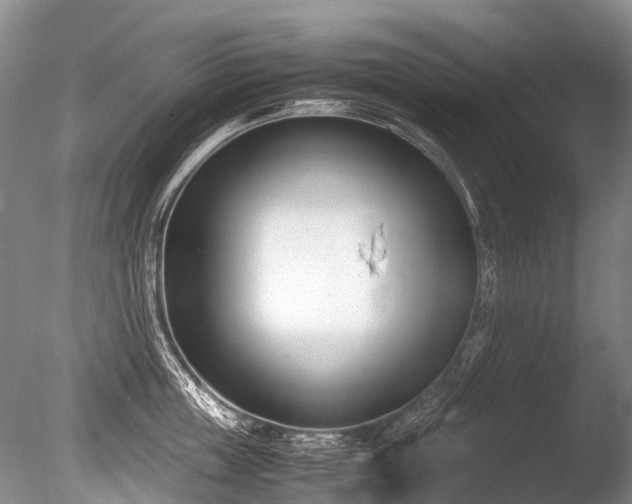 X0000086310859200703301149
