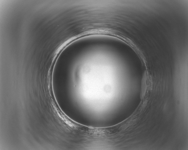 X0000086310862200703301149
