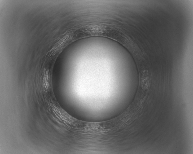 X0000086310866200703301148