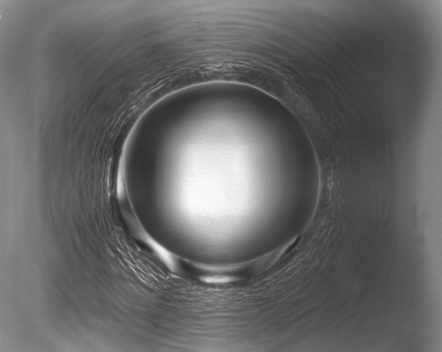 X0000086310868200703301148