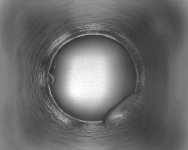 X0000086310873200703301148
