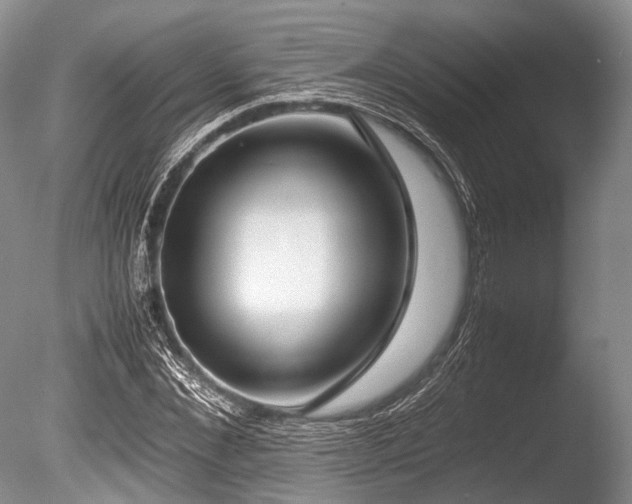 X0000086310876200703301148