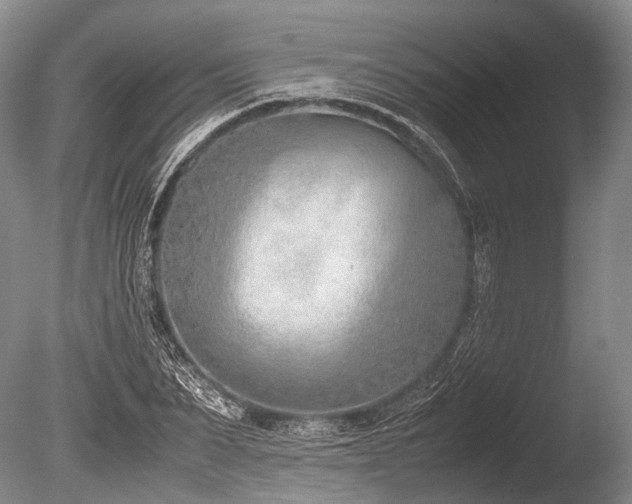 X0000086310879200703301148