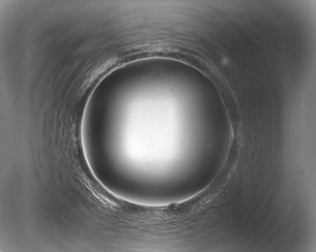 X0000086310881200703301148