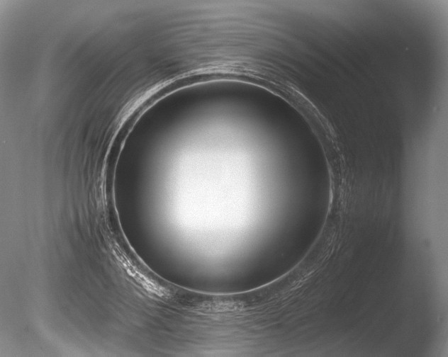X0000086310884200703301148
