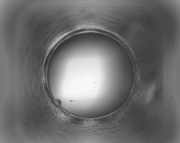 X0000086310887200703301148