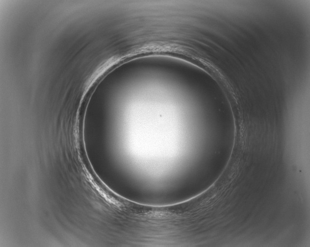 X0000086310894200703301148