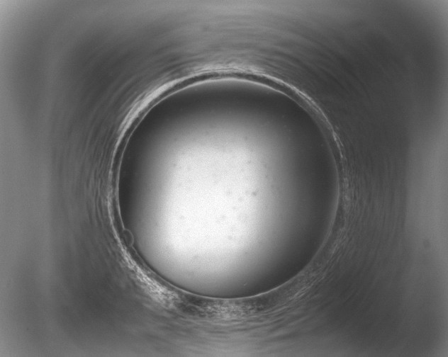 X0000086310895200703301148