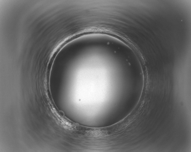 X0000086310896200703301148