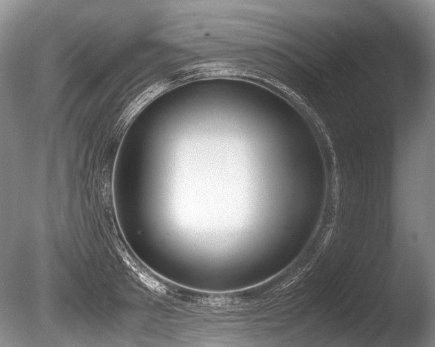 X0000086310897200703301147