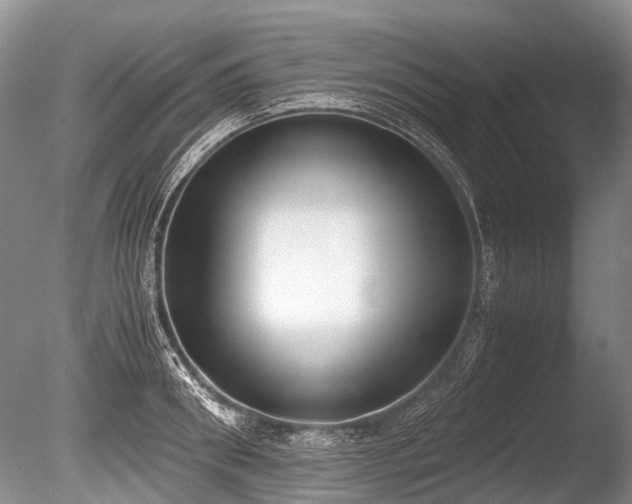 X0000086310898200703301147