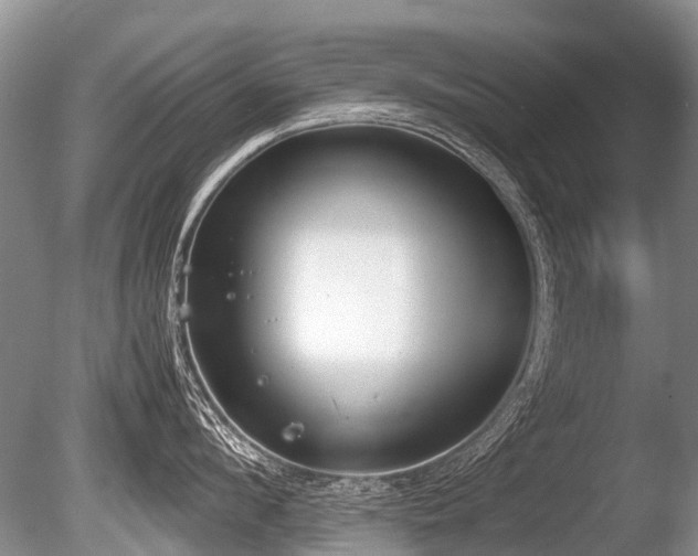 X0000086310912200703301147
