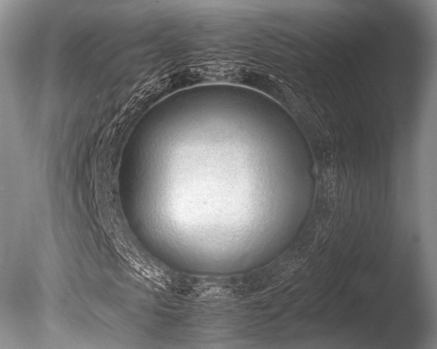 X0000086310913200703301146