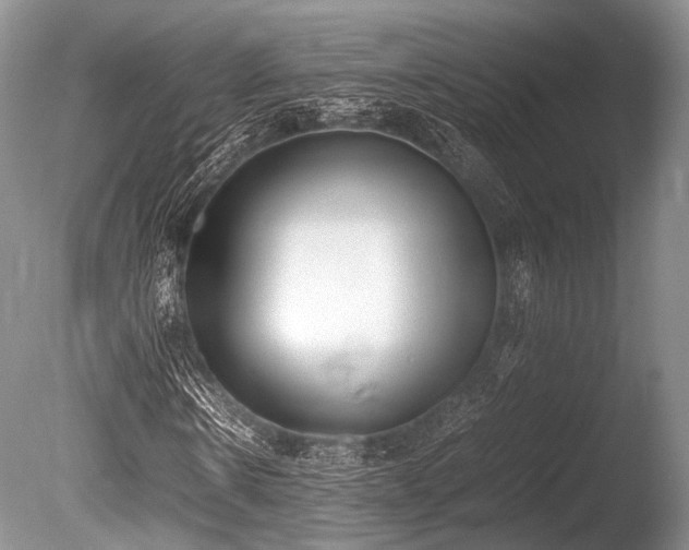 X0000086310914200703301146