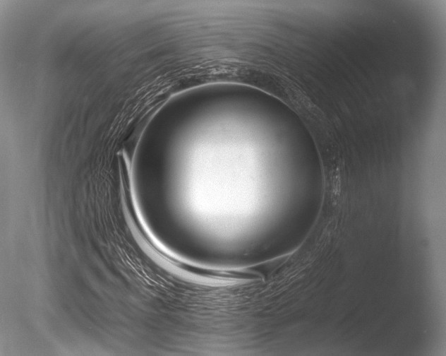 X0000086310916200703301146